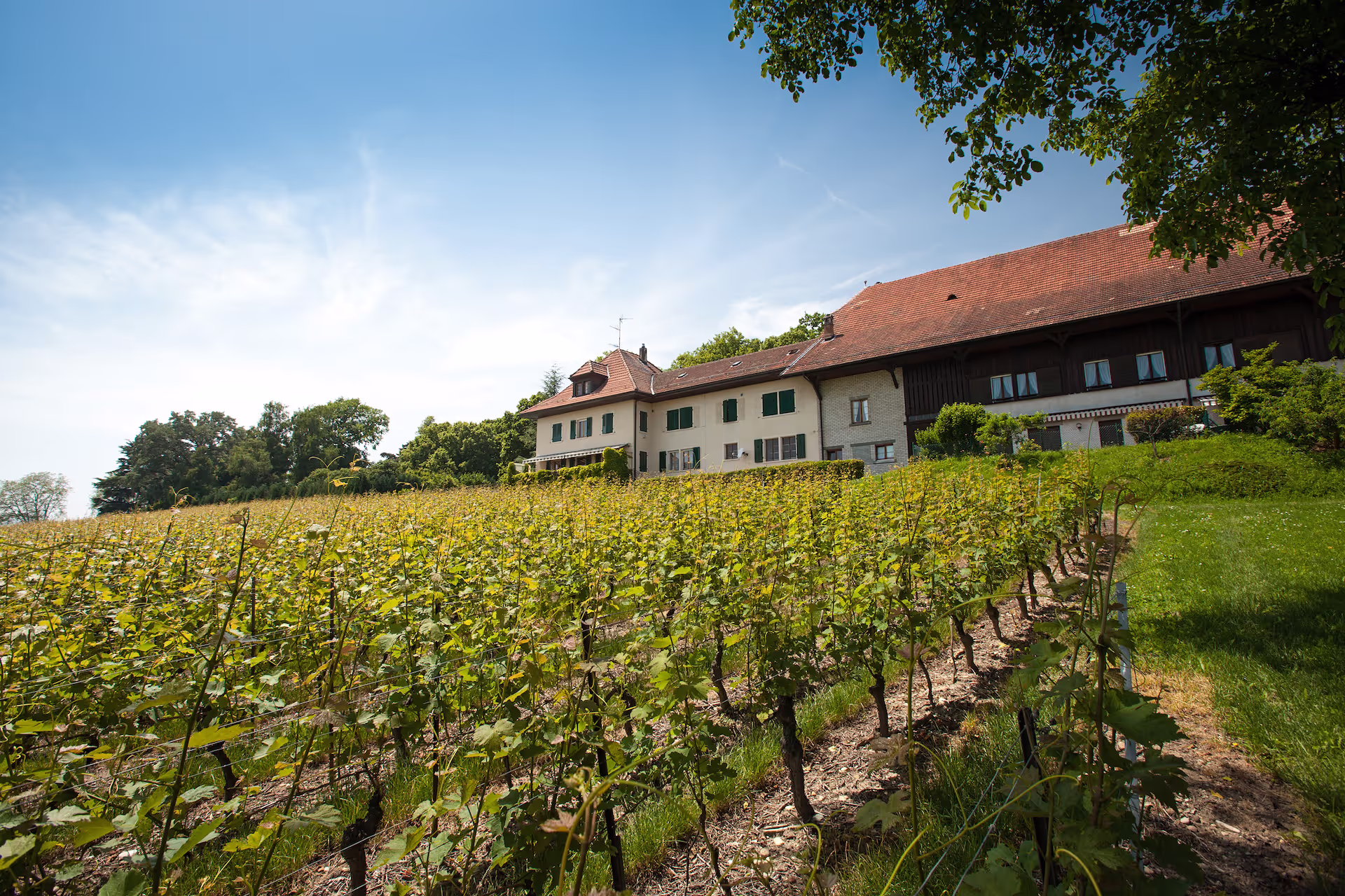 Chasse aux oeufs, atelier créatif et dégustation de vins à Satigny - Photo 3