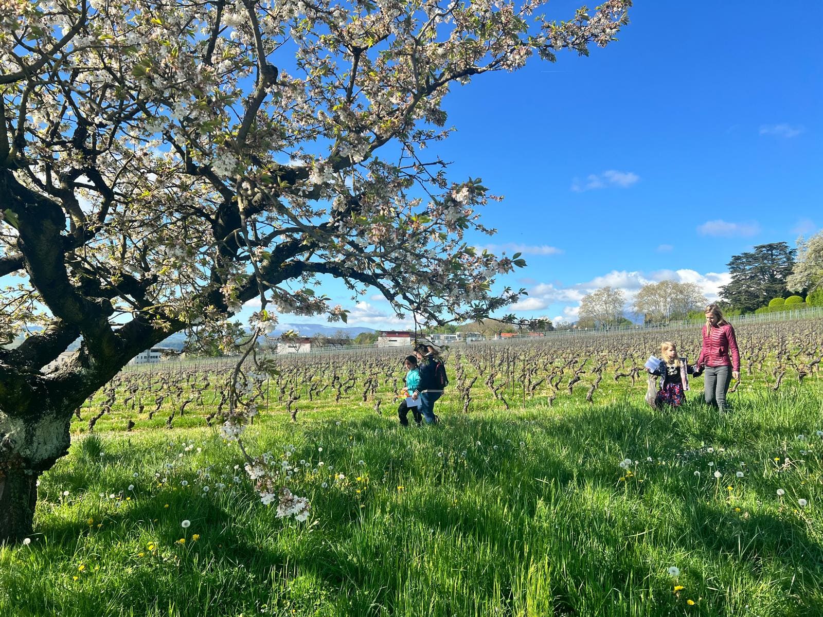 Chasse aux oeufs, atelier créatif et dégustation de vins à Satigny - Photo 1