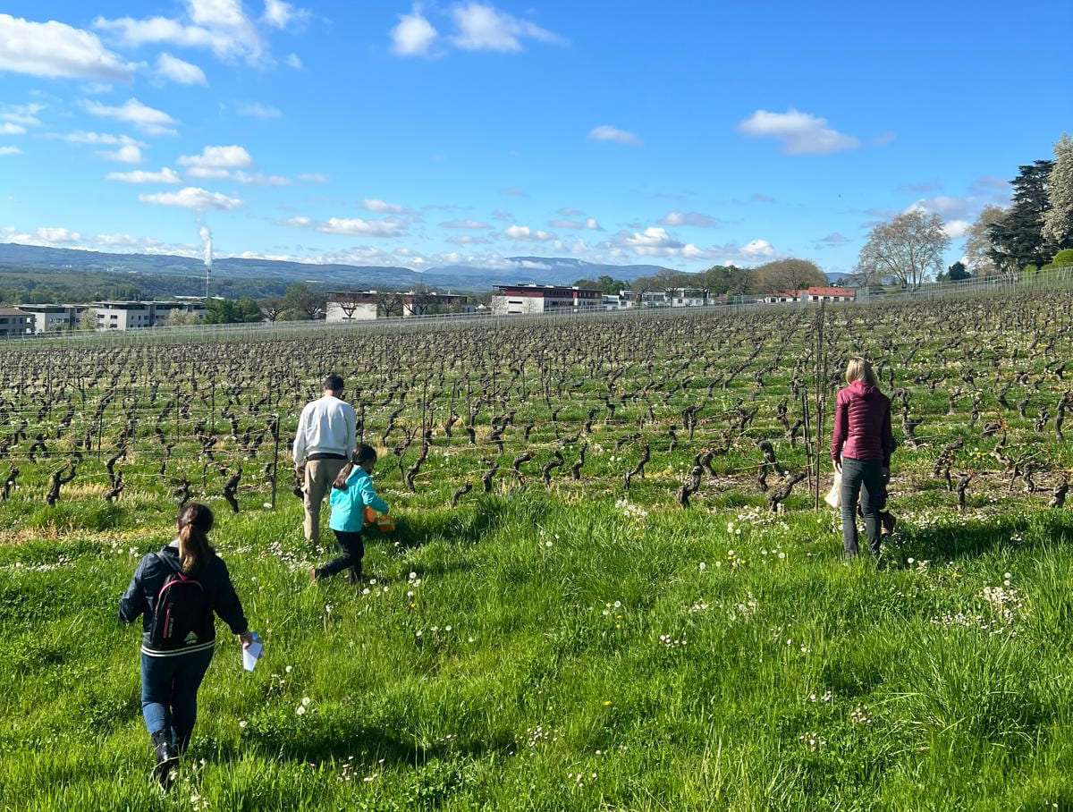Chasse aux oeufs, atelier créatif et dégustation de vins à Satigny - Photo 8