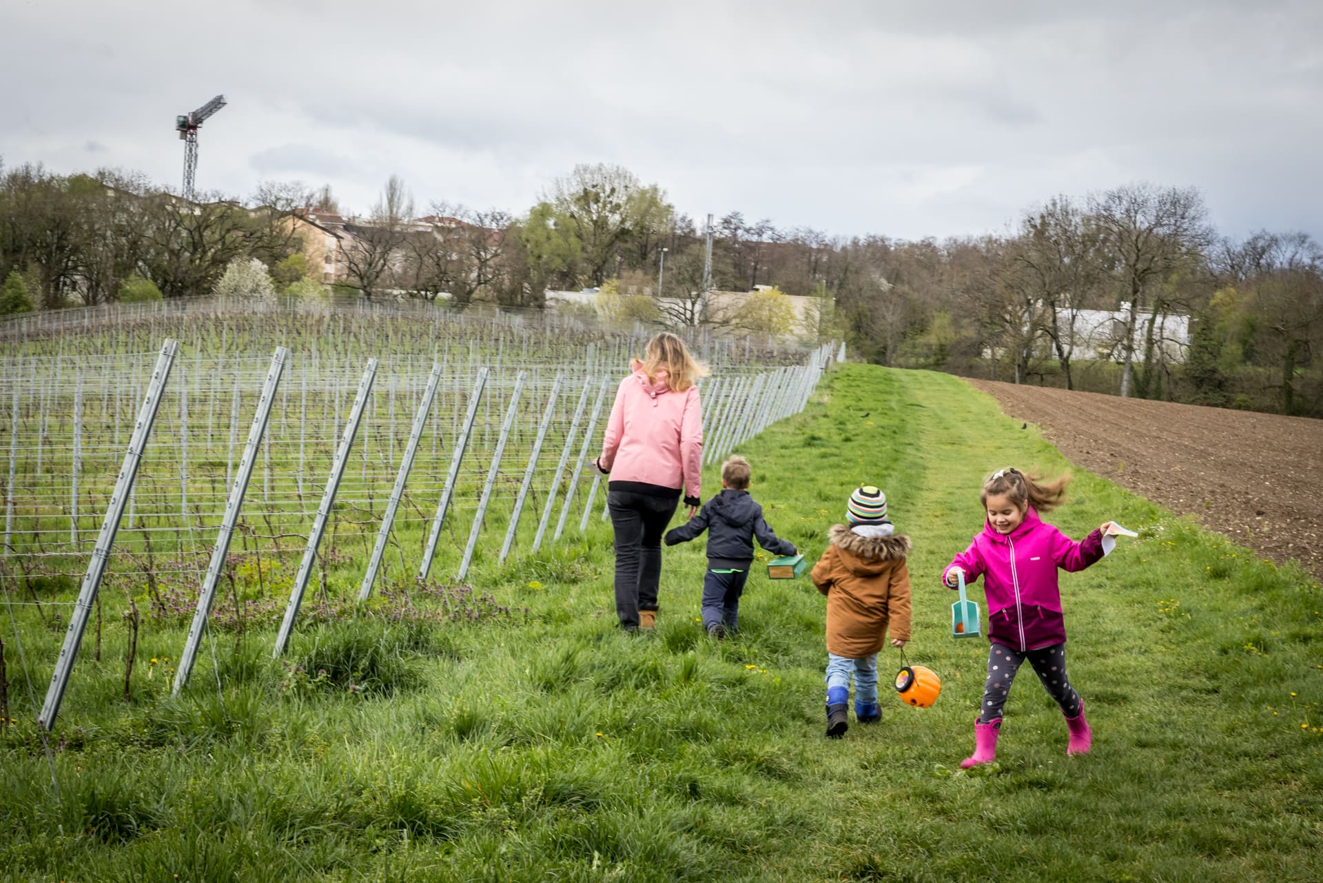 Chasse aux oeufs, atelier jardinage et dégustation de vins à Collex - Photo 2