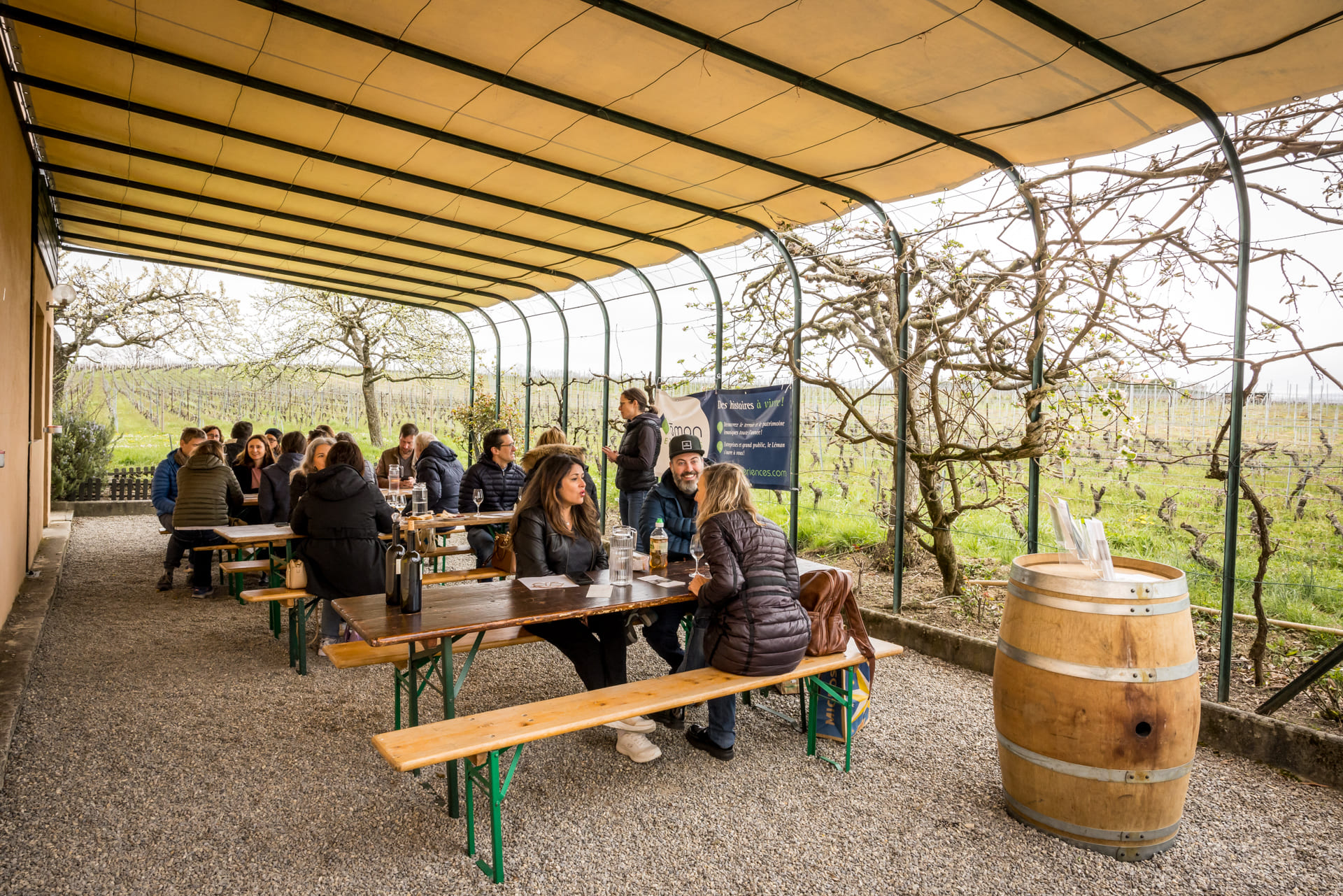 Chasse aux oeufs dans les vignes, fluo party et dégustation de vins à Peissy - Photo 10