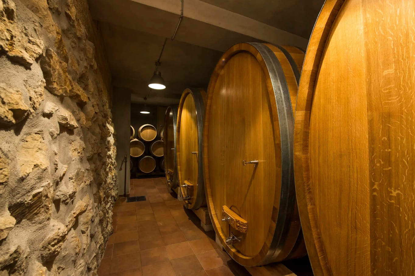 Chasse aux oeufs dans les vignes, fluo party et dégustation de vins à Peissy - Photo 2