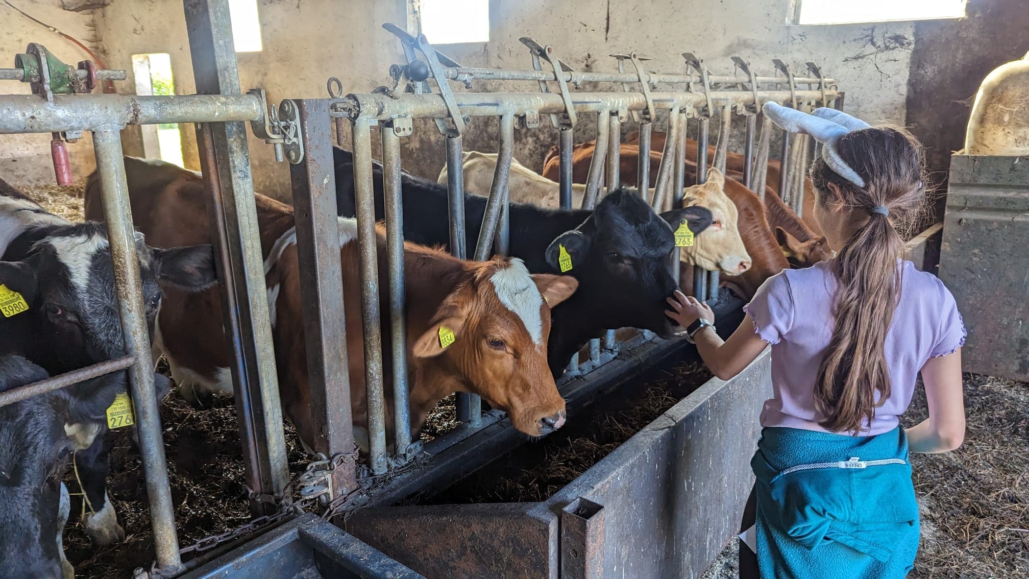 Chasse aux oeufs, jeux de foire et dégustation de vins à Avusy - Photo 8